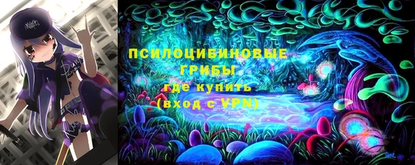 круглые Алексин
