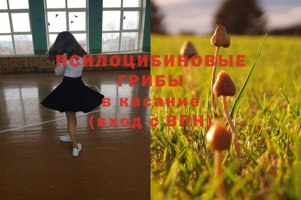 PSILOCYBIN Козловка