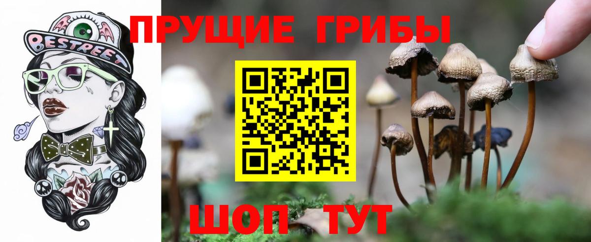 Псилоцибиновые грибы Psilocybine cubensis  Псилоцибиновые грибы Magic Shrooms  Вход с VPN  Ялта 